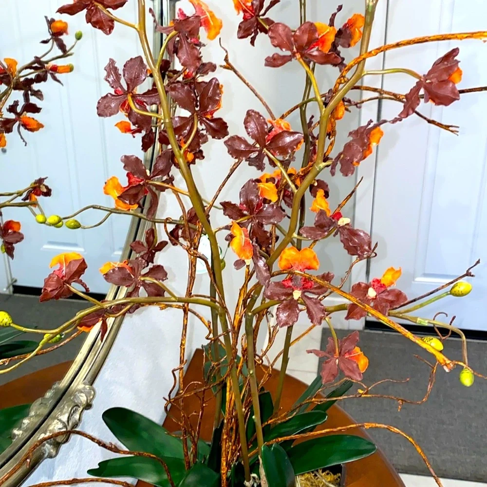 Winward‎ Home Orchid Arrangement in Vase